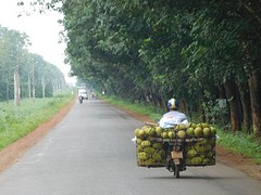 Fruit op den brommer