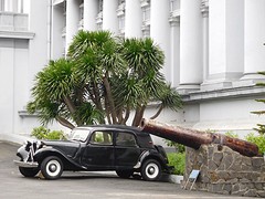 Citroen traction Avant en kanon