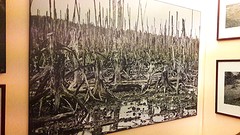 resultaat van ontbladeringmiddel (agent orange)