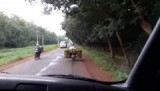 Fruit op den brommer