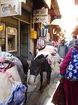 Medina file