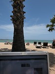 Blog schrijven aan mijn nieuwe bureau