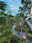 Hamad International Airport Doha