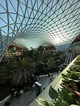 plantjes in de luchthaven