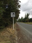 Langs de weg
