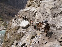 Dag 5 - Ezel transport