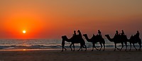 Dag 13 - ritje op een kameel bij zonsondergang