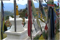 Dag 06 - Namo Buddha 5