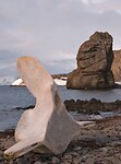 Dag 11 - Barrientos Island