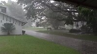 Dag 06 - Regen