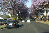 1B045596-6DE2-4AD2-97F8-D0F6B2055333