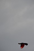 DSC_0833