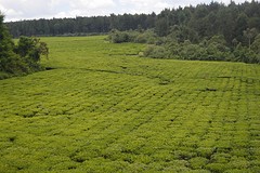 DSC_1041