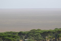 DSC_0881
