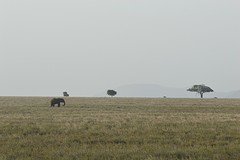 DSC_0847