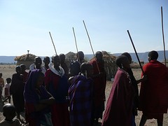 P1100551