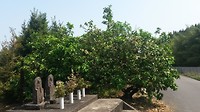 20170514_095014