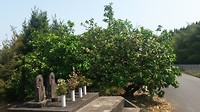 20170514_095015