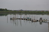 DSC_0411