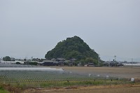 DSC_0419