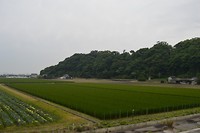 DSC_0428