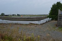 DSC_0431