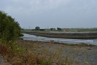 DSC_0433