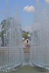 DSC_0692