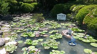 20170519_130851