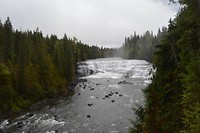 DSC_0386