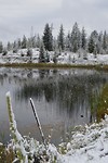 DSC_0477
