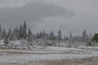 DSC_0484