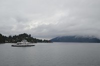 DSC_0529