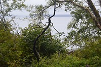 DSC_0540