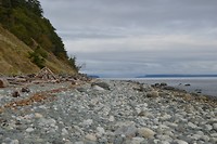 DSC_0588