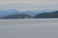 DSC_0770