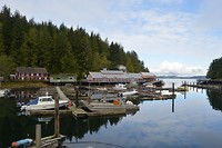 DSC_1010