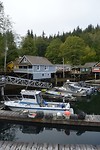 DSC_1011