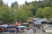 DSC_1012