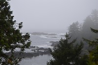 DSC_1047