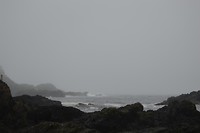 DSC_1051