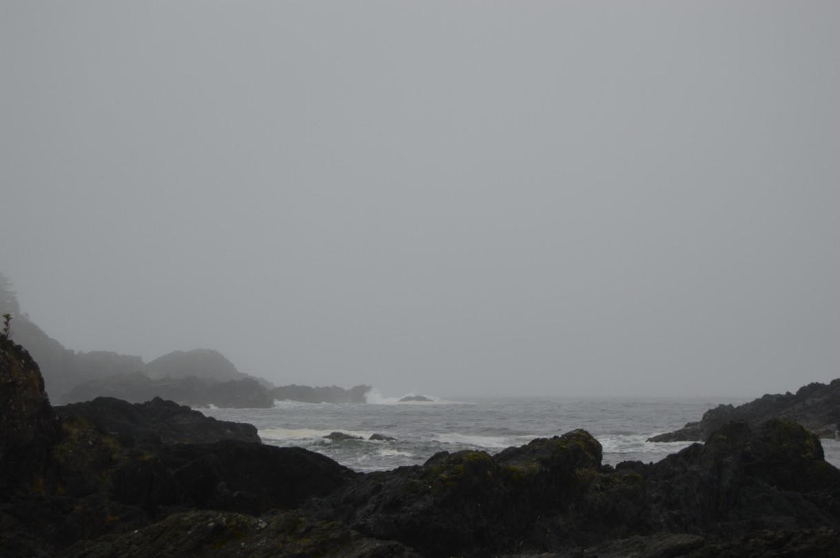 DSC_1051