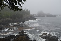 DSC_1053