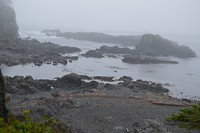 DSC_0008