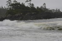 DSC_0079