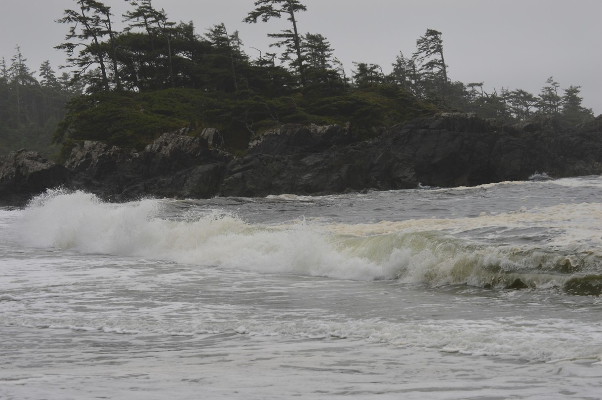 DSC_0079