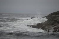 DSC_0081