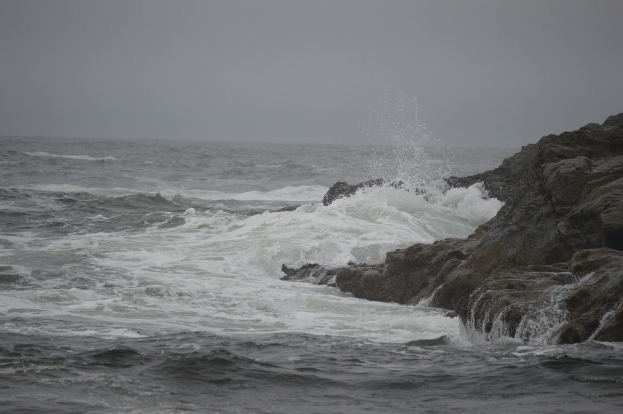 DSC_0081