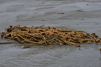 DSC_0122