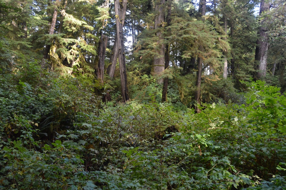 DSC_0166